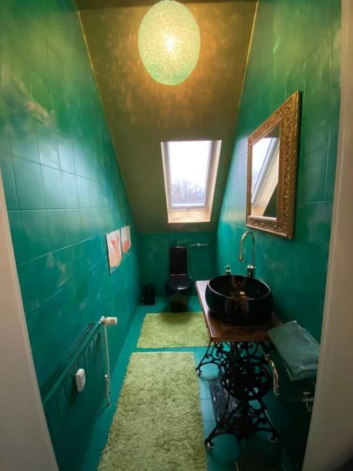 Ferienwohnung In Historischer Villa Mit Gartennutzung Furth im Wald Ngoại thất bức ảnh